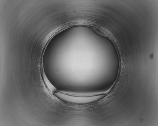 X0000115770946200911271137