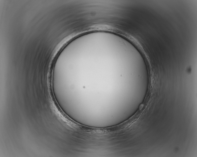 X0000115770947200911271137