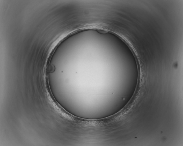 X0000115770949200911271137