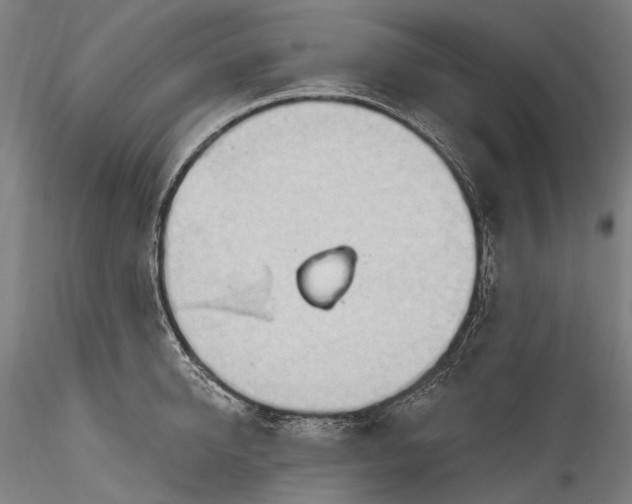 X0000115770950200911271137