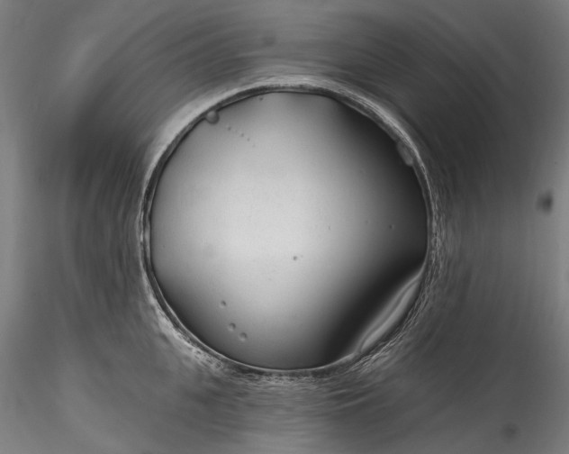 X0000115770951200911271137