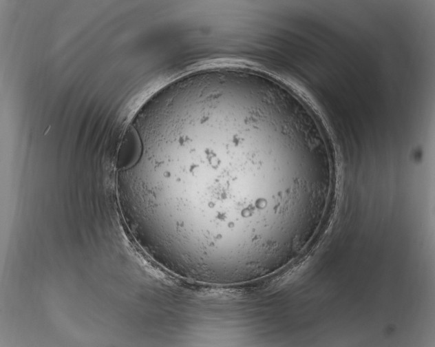 X0000115770953200911271137