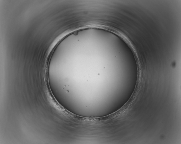 X0000115770955200911271137