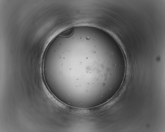 X0000115770957200911271137