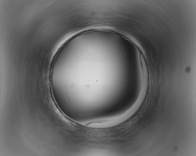 X0000115770959200911271137