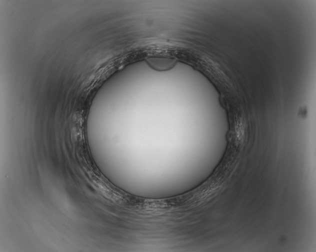 X0000115770964200911271136