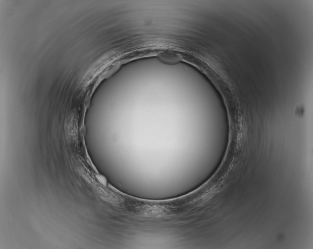 X0000115770969200911271136