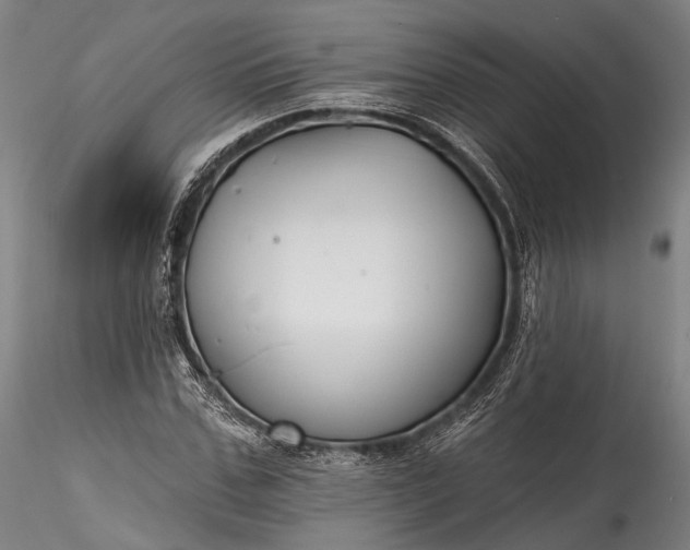 X0000115770971200911271136