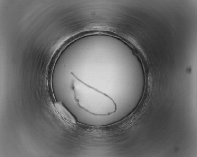 X0000115770972200911271136