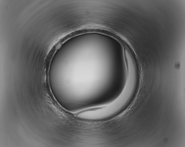 X0000115770973200911271136