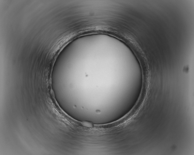 X0000115770977200911271136