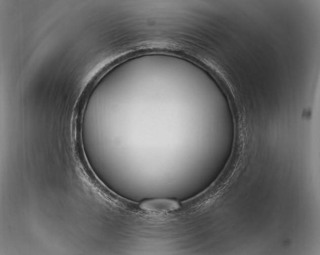 X0000115770983200911271136