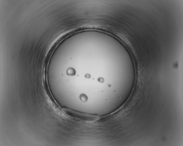 X0000115770984200911271136