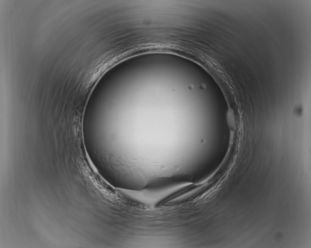 X0000115770985200911271136