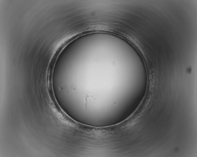 X0000115770987200911271136
