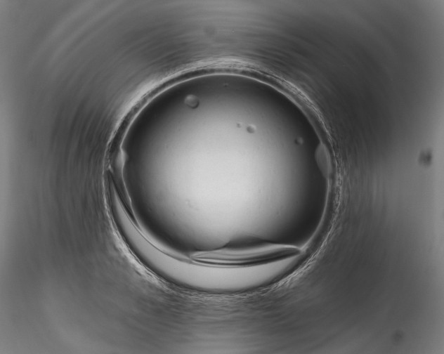 X0000115770989200911271136