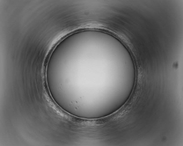 X0000115770990200911271136