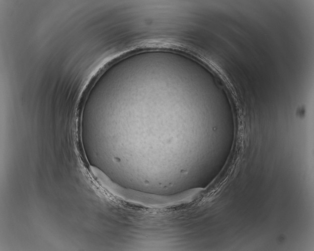 X0000115770992200911271136