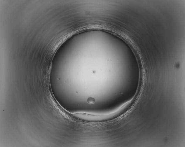 X0000115770993200911271136