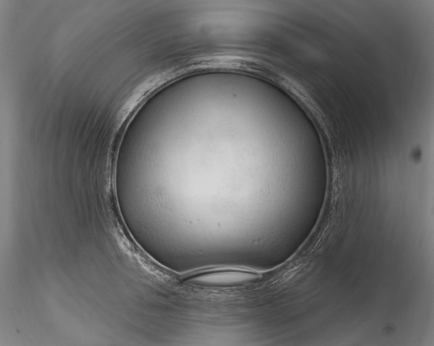 X0000115770994200911271136