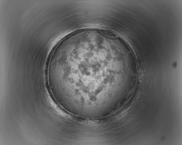 X0000115770995200911271136