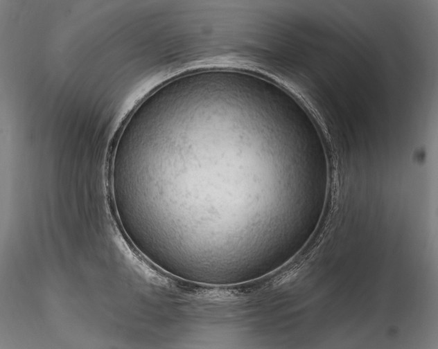 X0000115770998200911271136