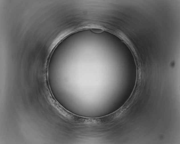 X0000115771002200911271136