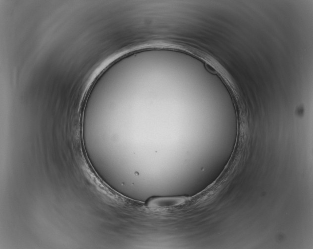 X0000115771004200911271136