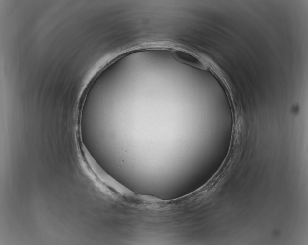 X0000115771005200911271136