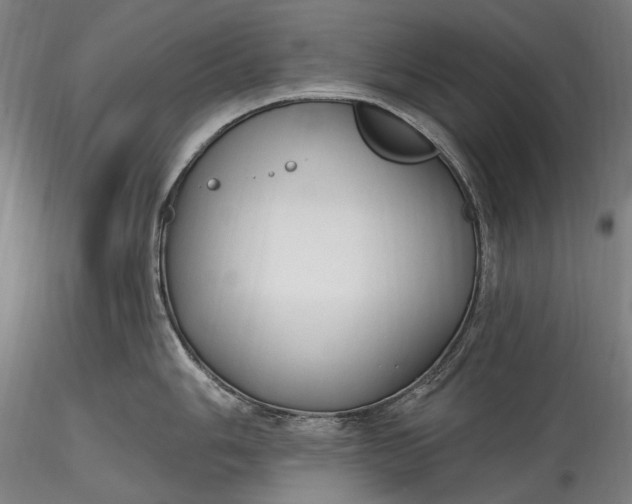 X0000115771006200911271136
