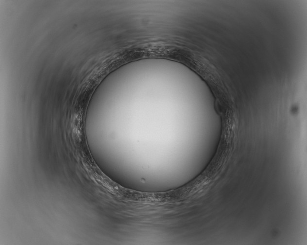 X0000115771010200911271135