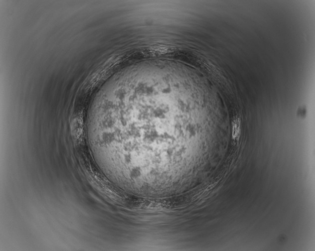 X0000115771011200911271135