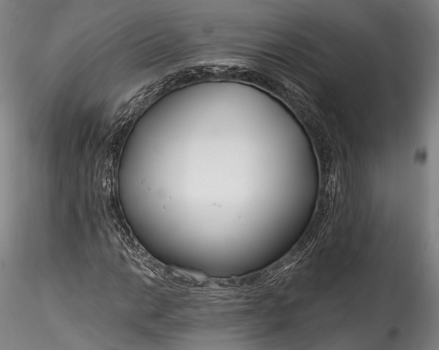 X0000115771014200911271135