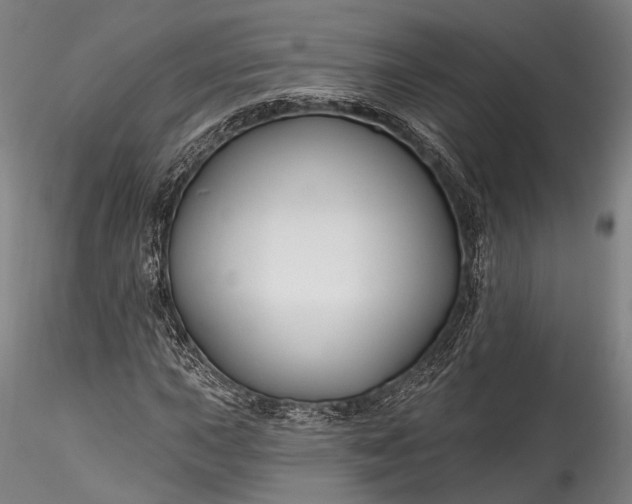 X0000115771015200911271135