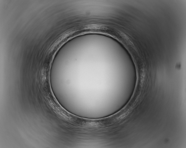 X0000115771017200911271135