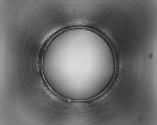 X0000115771018200911271135