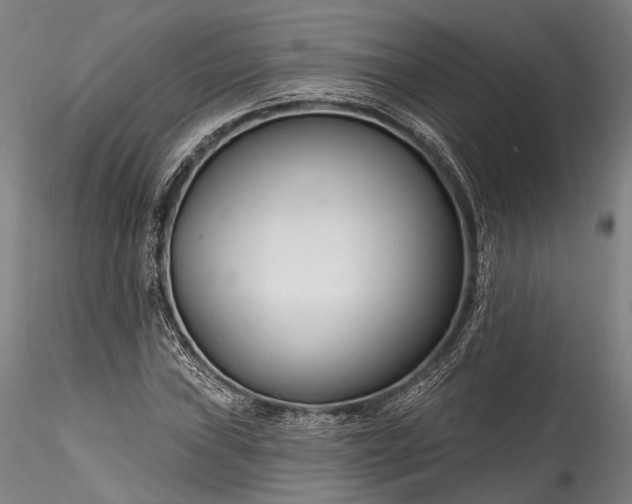 X0000115771019200911271135