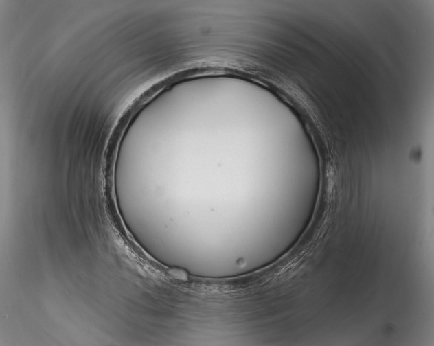X0000115771020200911271135