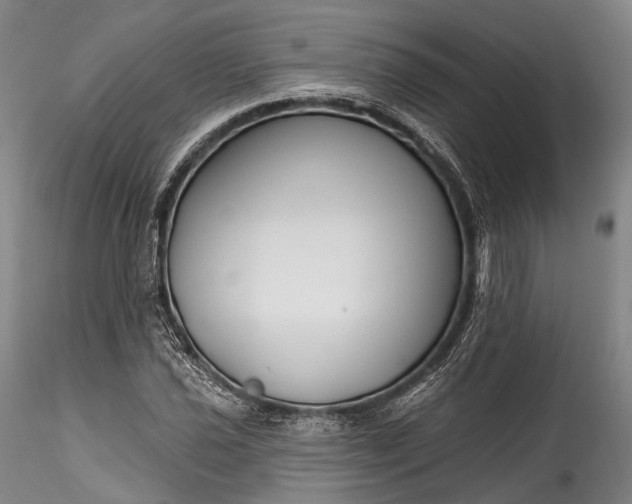 X0000115771021200911271135