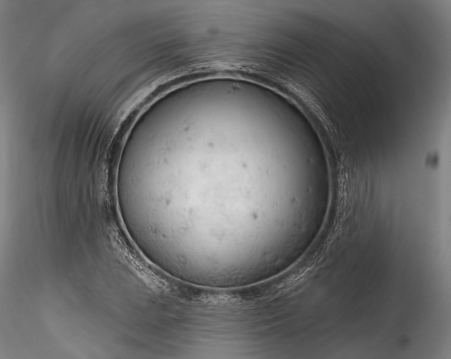 X0000115771023200911271135
