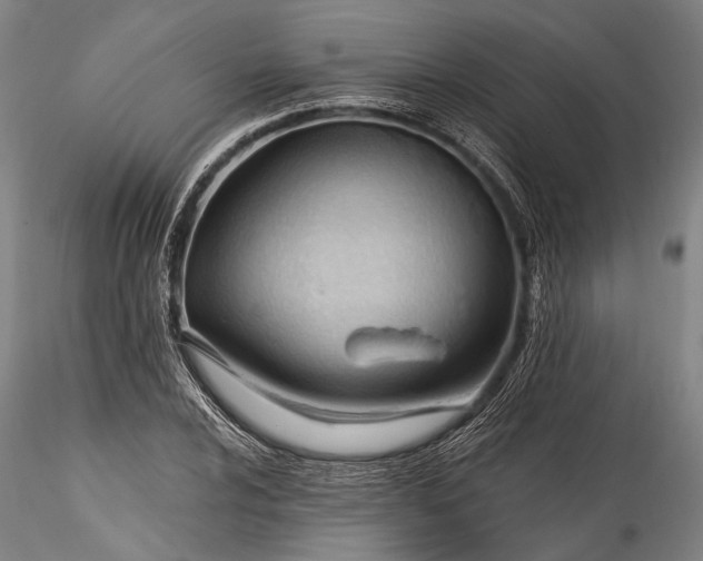 X0000115771024200911271135