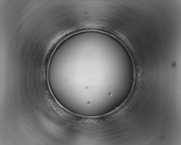 X0000115771027200911271135
