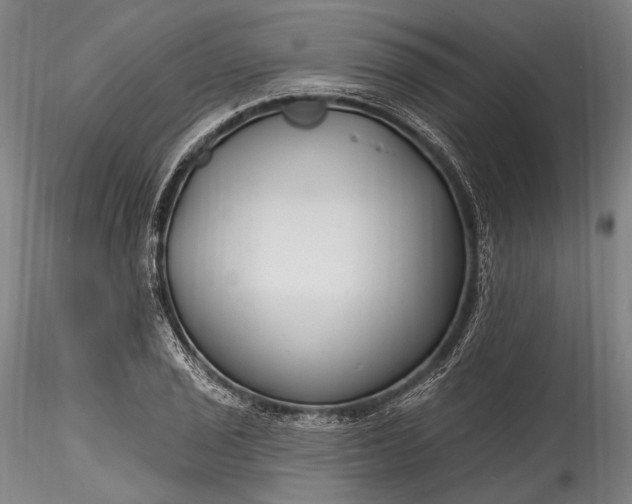 X0000115771029200911271135