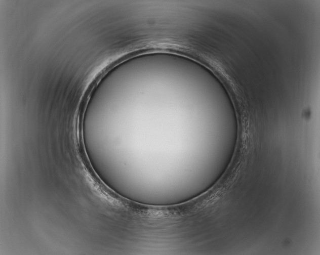 X0000115771032200911271135