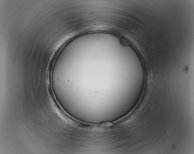 X0000115771034200911271135