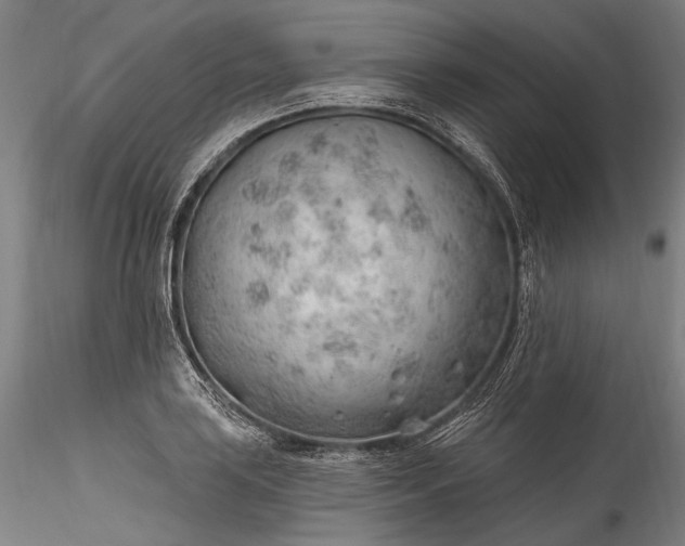 X0000115771035200911271135