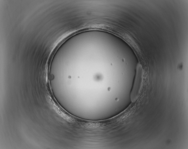 X0000115771036200911271135