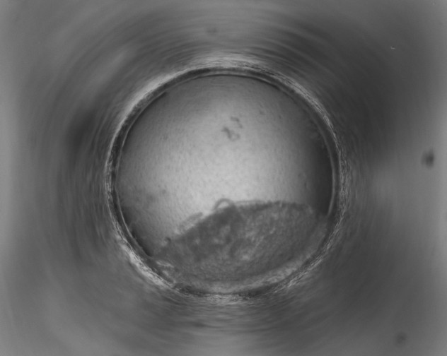 X0000115771037200911271135