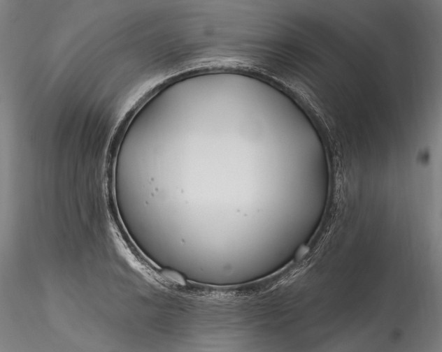 X0000115771038200911271135