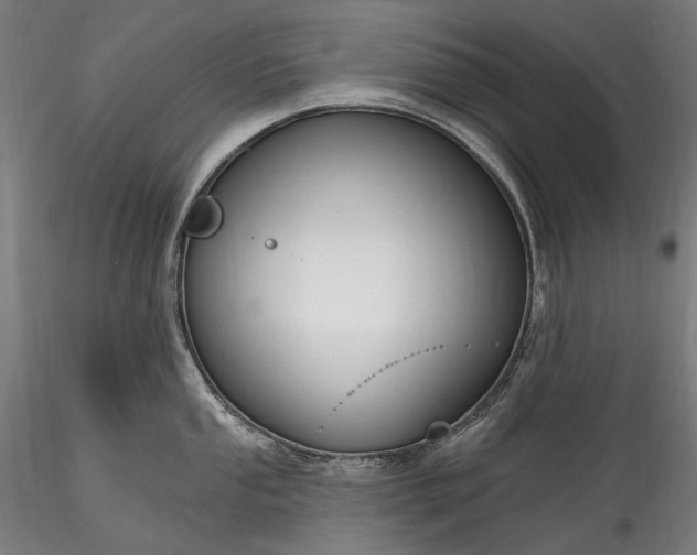 X0000115771053200911271136